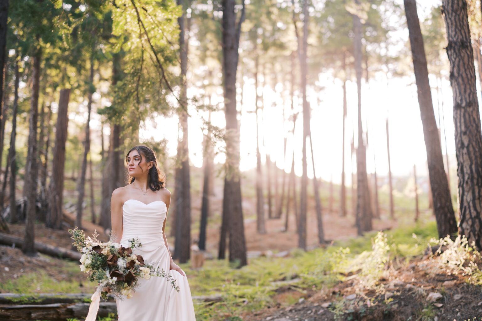 AZ Weddings | Mount Lemmon Lodge – A Cool Mountain Escape