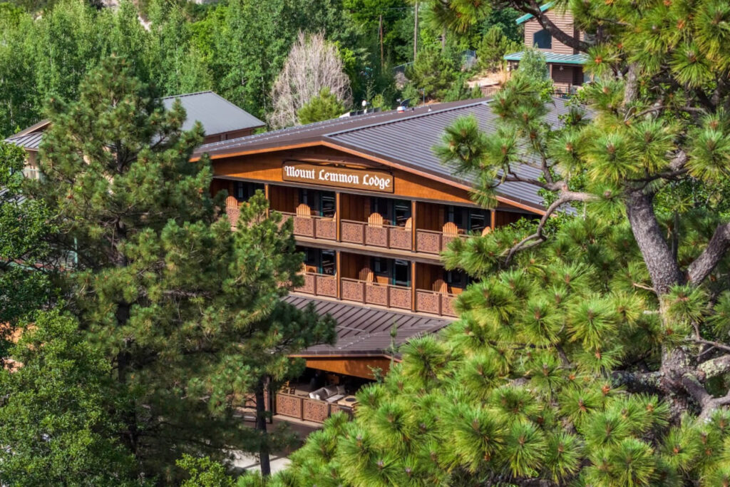 Mount Lemmon Lodge rose from the Aspen Fire