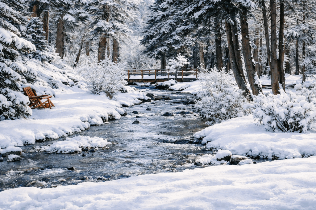 Arizona Winters in Greer