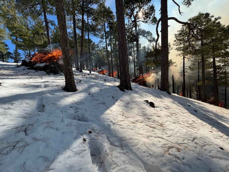 Prescribed Pile Burns on Mount Lemmon