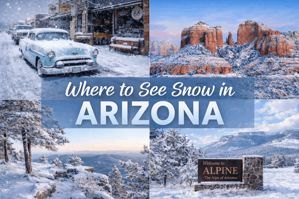 Where to see snow in Arizona