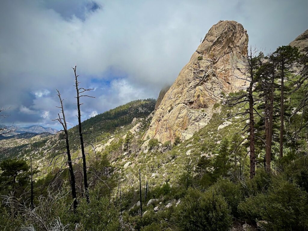 Unique rock formations on Mt. Lemmon on a hike with Southwest Discoveries
