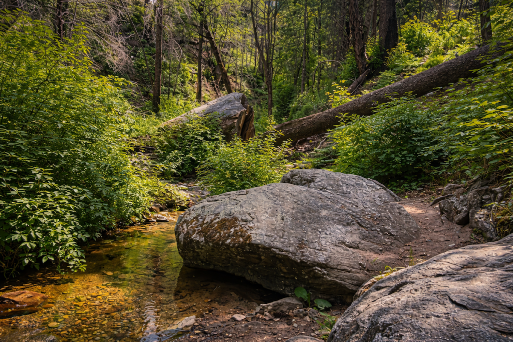 visiting Marshal Gulch while exploring Mount Lemmon