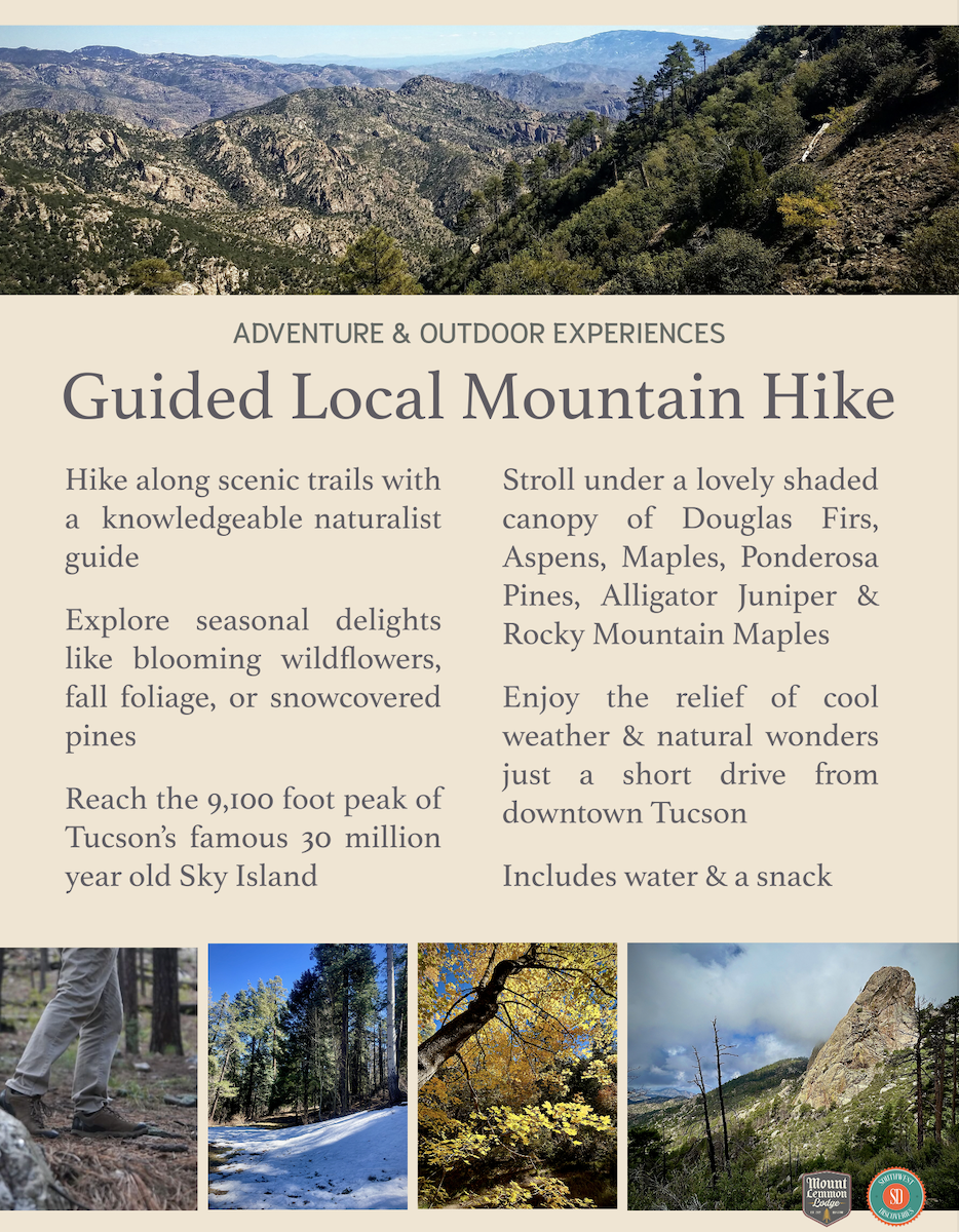 Mount Lemmon guided hikes info