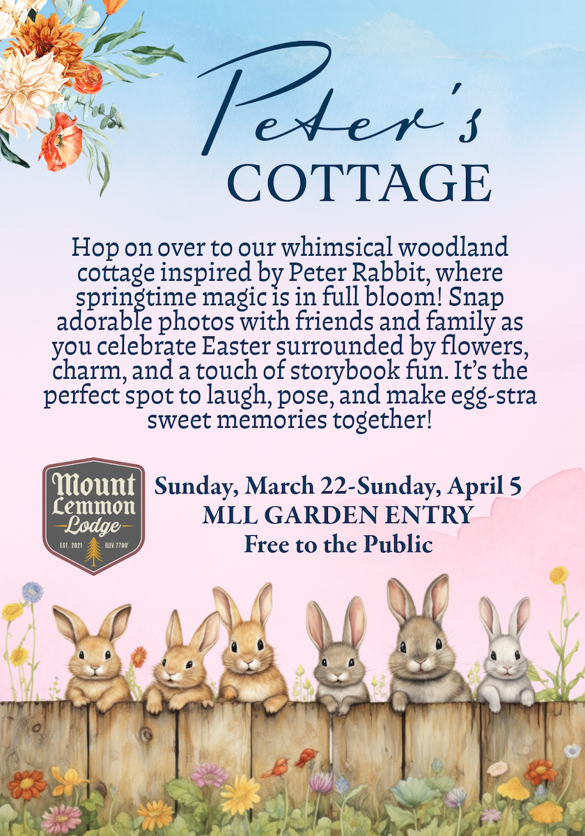 Peter's Cottage Mount Lemmon Lodge