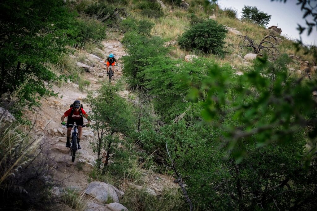 Mt. Bike Riding is one of the things to do on Mt. Lemmon