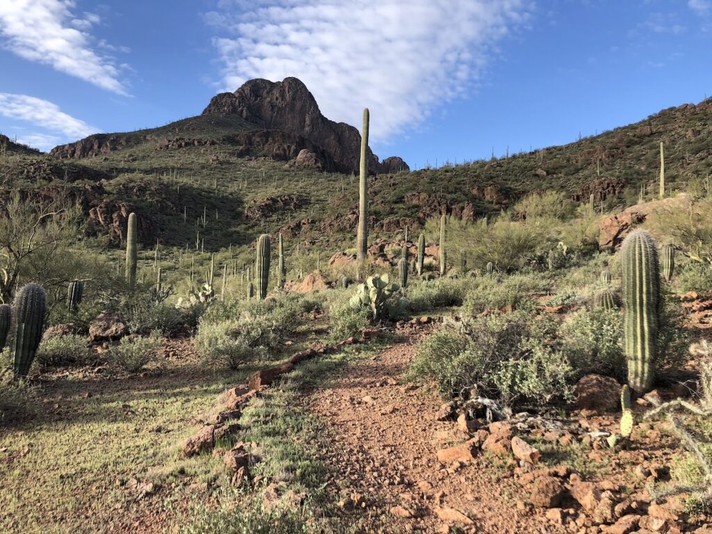 Urban Trails: Tucson