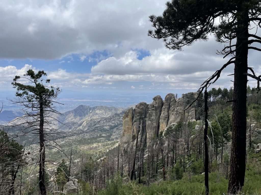 Hiking Mt. Lemmon