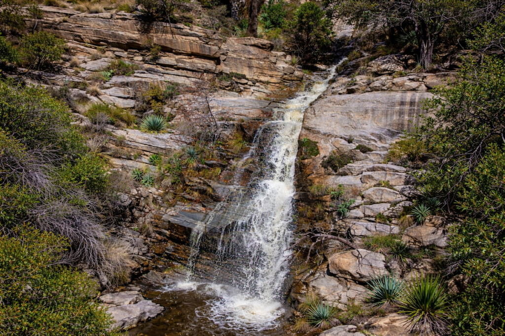 Seasonal waterfalls like Seven Seven Cataracts is another reason why Mount Lemmon is so Special