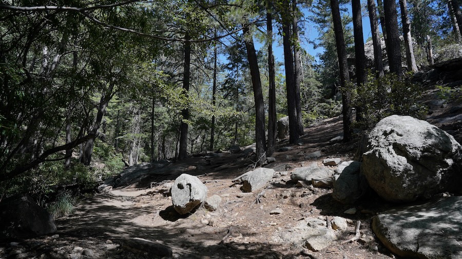 Marshall Gulch on Mt. Lemmon, Arizona
