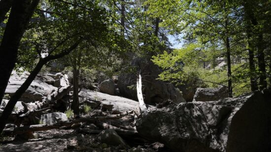 Marshall Gulch closure