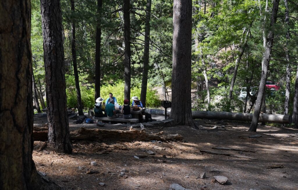 Marshall Gulch Picnic area