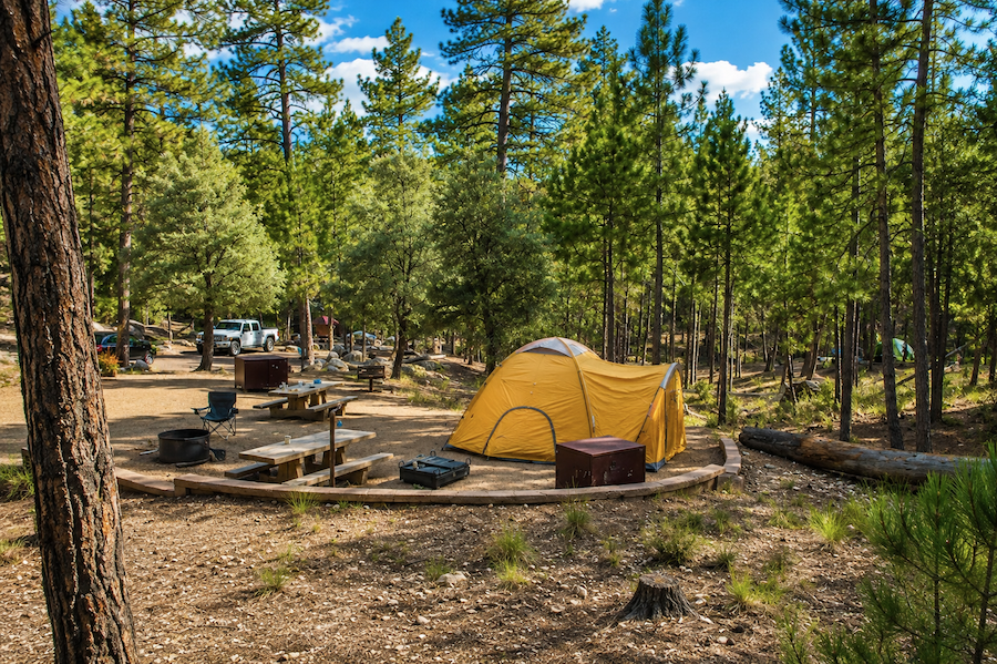 Camping at Rose Canyon Lake