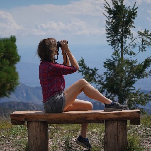 Bird watching on Mount Lenmon