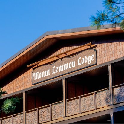 Exterior Lodge_Roof Line_Detail View_02