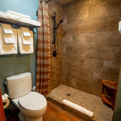 Mount Lemmon Lodge_Corner Room-King_Bathroom_Spatial View_01