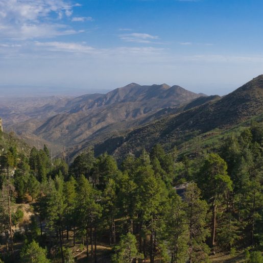 Mount Lemmon aerial image 2 by Mike Shubic