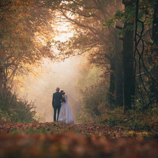 Mount Lemmon wedding in autumn