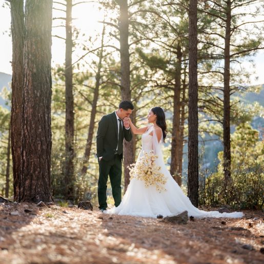 Arizona Mountain Weddings Mount Lemmon