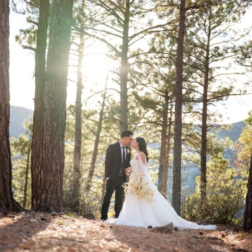 Arizona Mountain Weddings Mount Lemmon