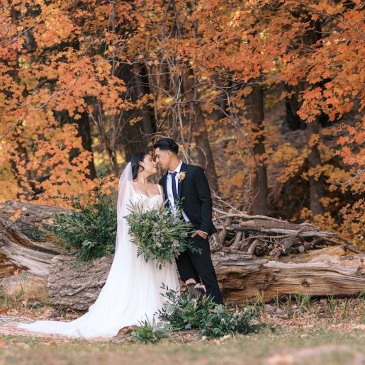 Mt. Lemmon Lodge Wedding