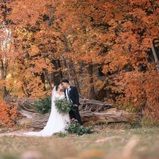 Arizona Mountain Weddings